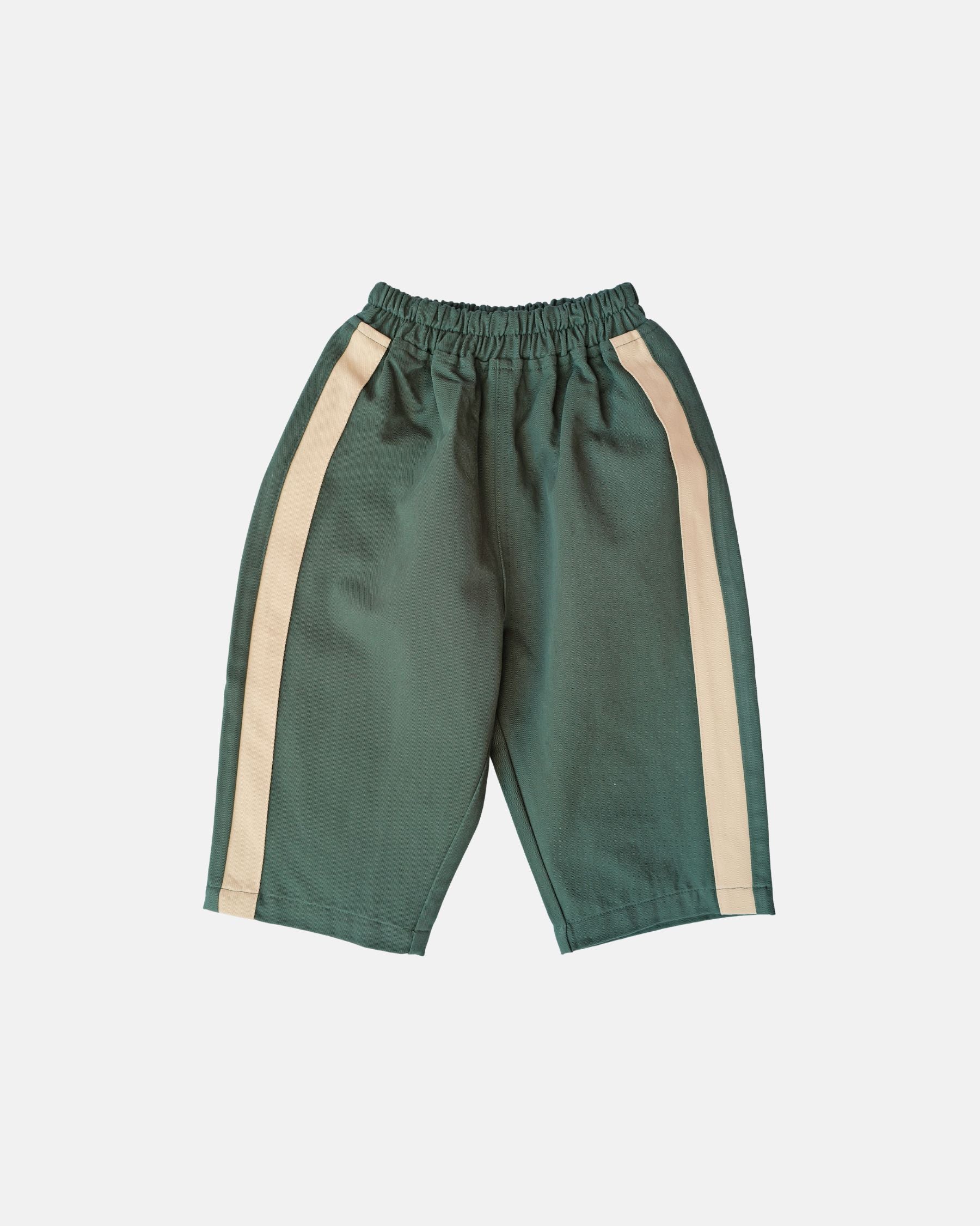 Twill Sidekick Pants (Green)