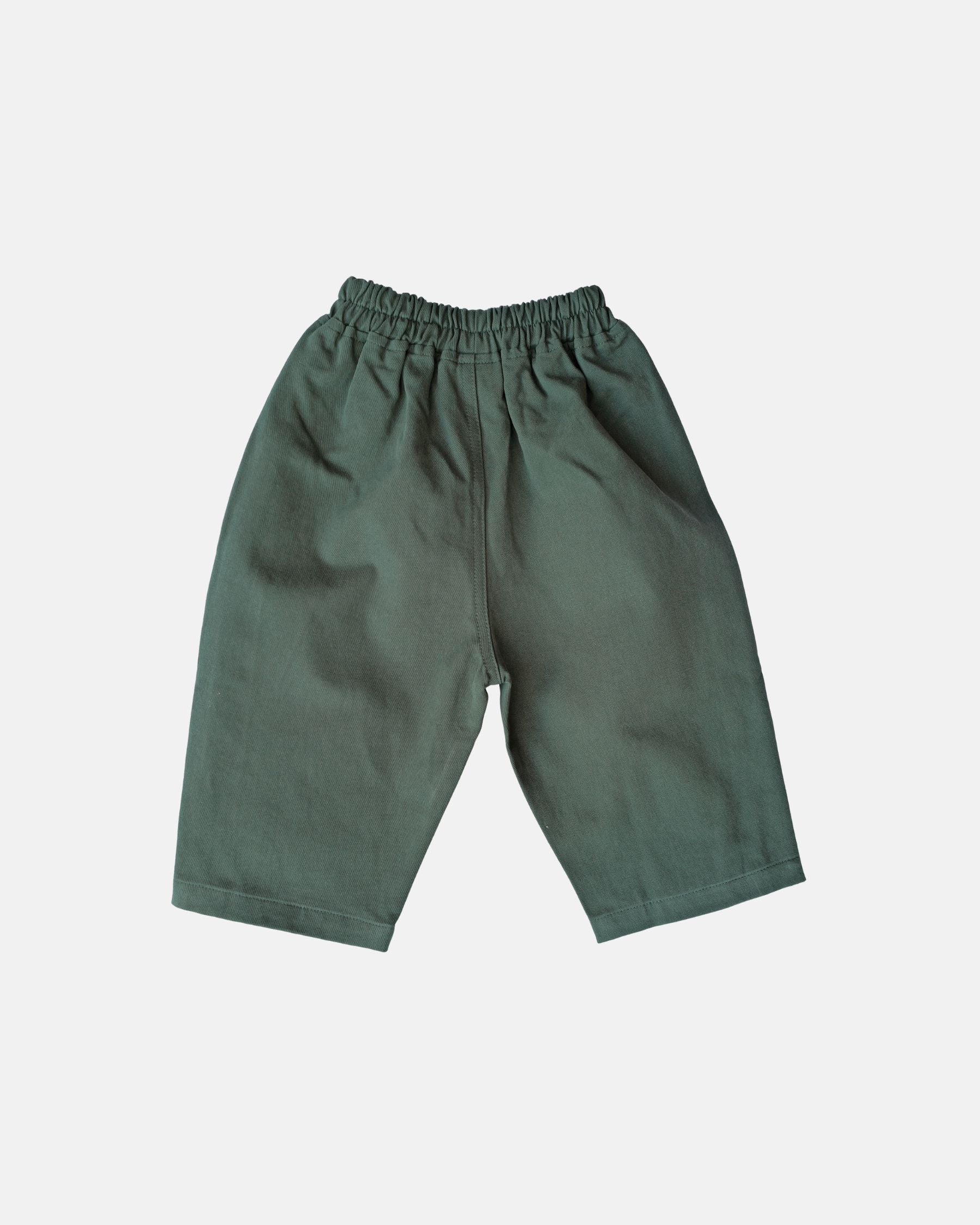 Twill Sidekick Pants (Green)