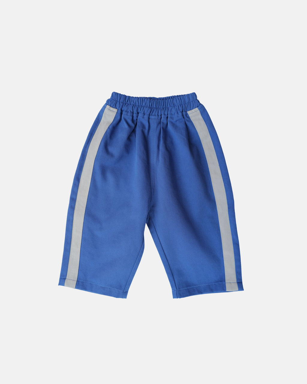 Twill Sidekick Pants (Blue)