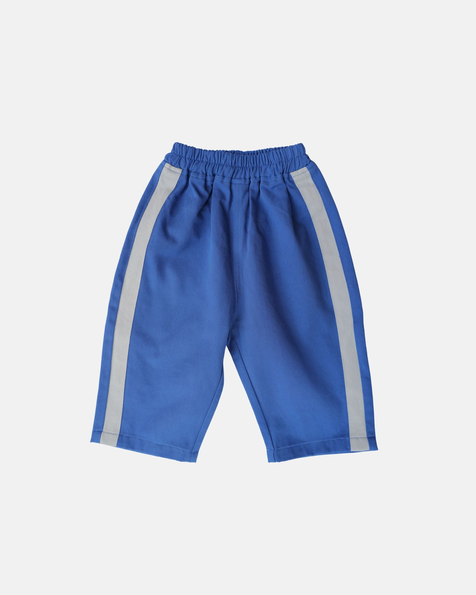 Twill Sidekick Pants (Blue)