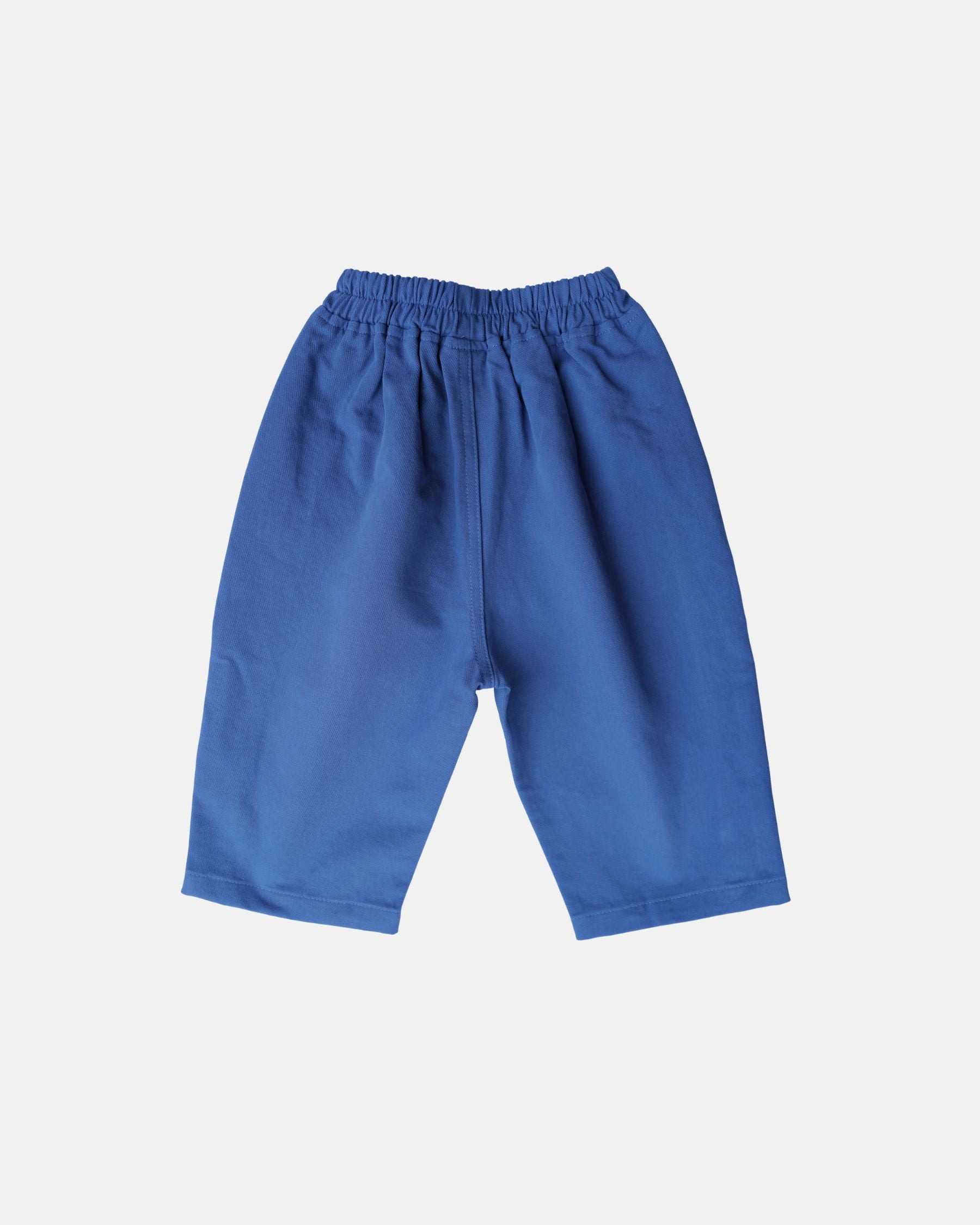 Twill Sidekick Pants (Blue)