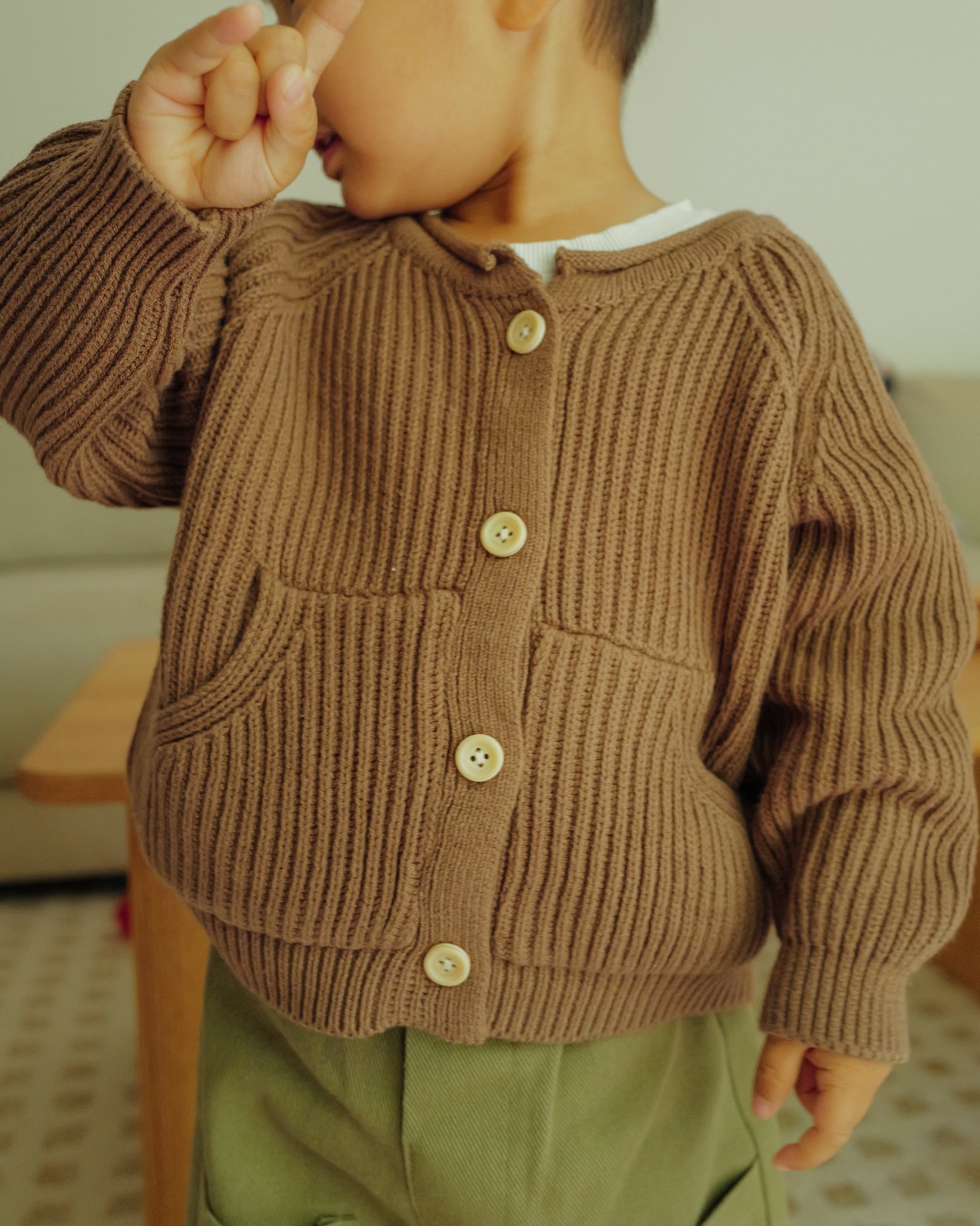 Knit Button-Up Cardigan (Brown)