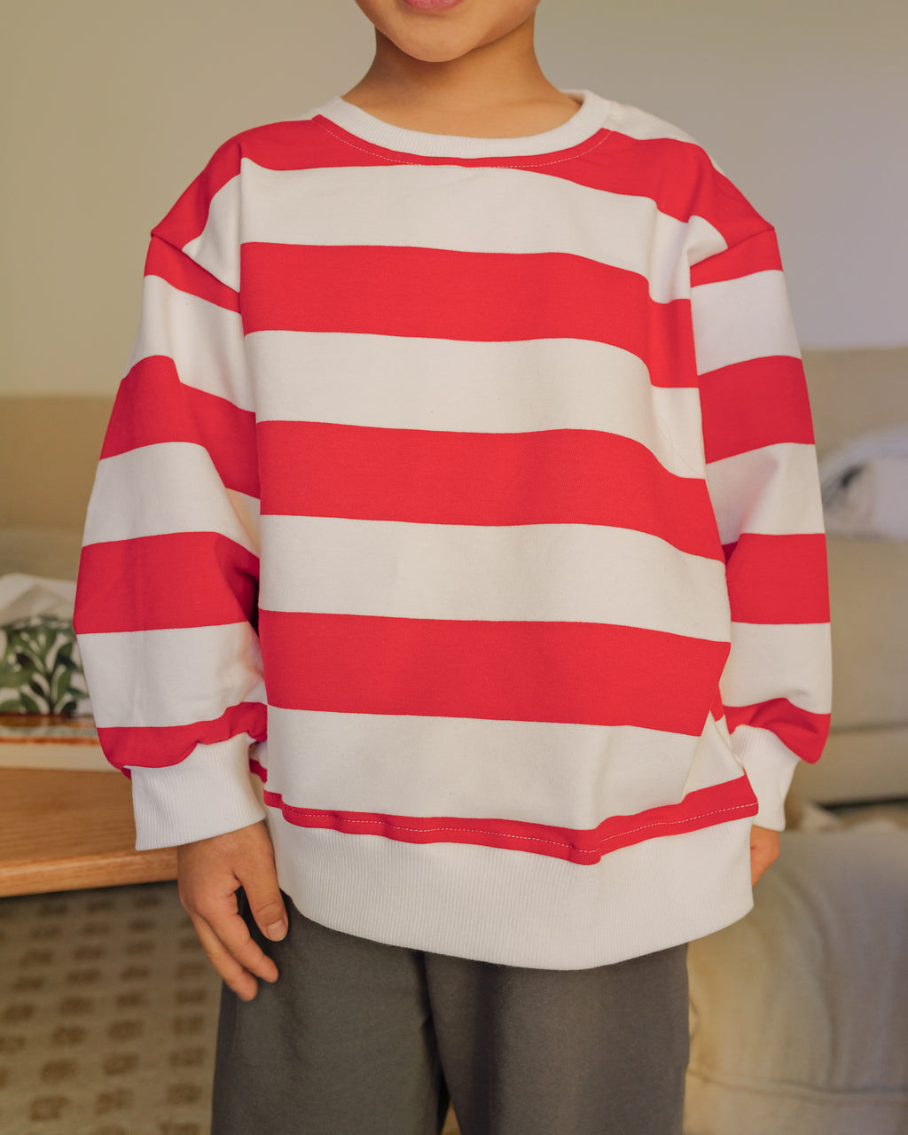 Striped Boxy Crew Sweatshirt (Red)