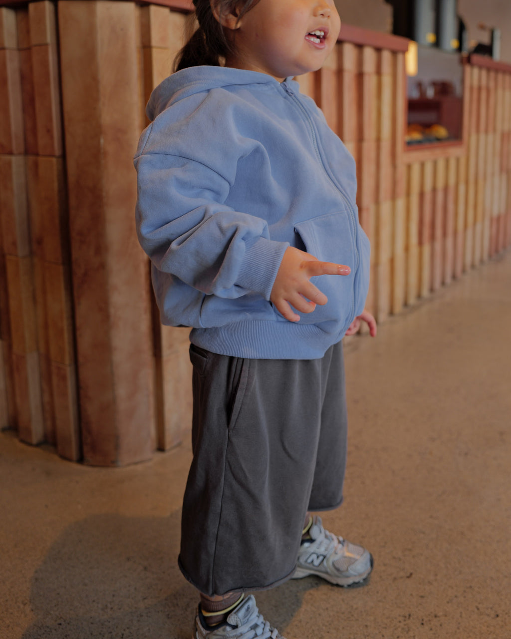 Heavyweight Zip-Up Hoodie (Sky Blue)